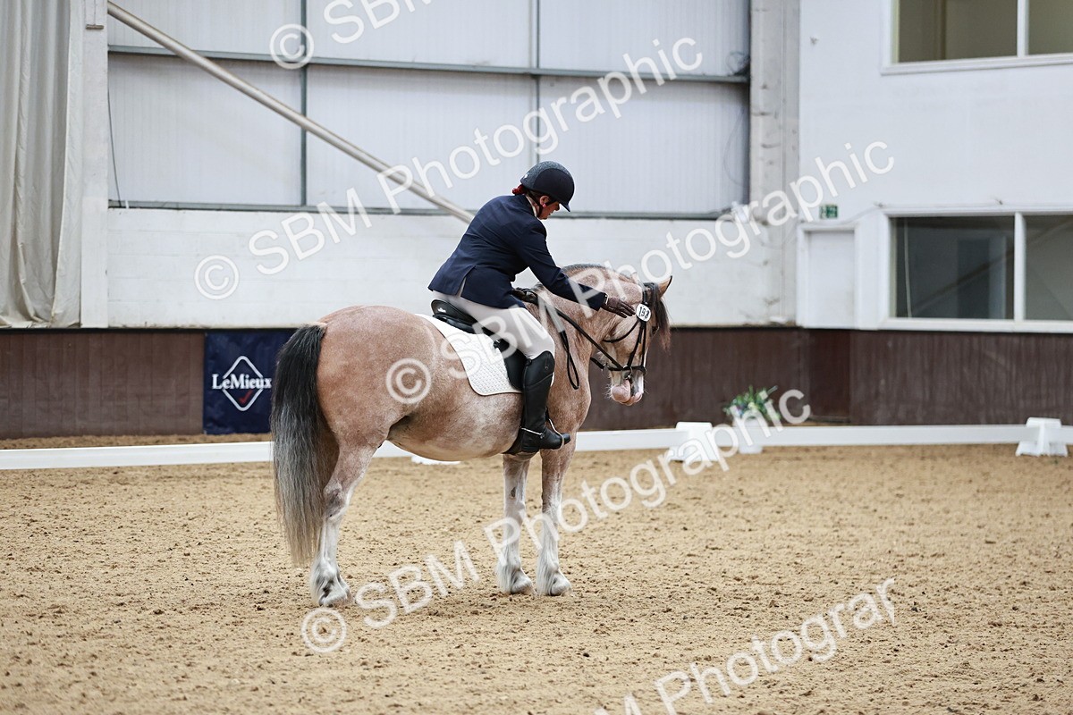 SBM_014242 - Class 7 - Ele FSM Bronze 12.12.13.08