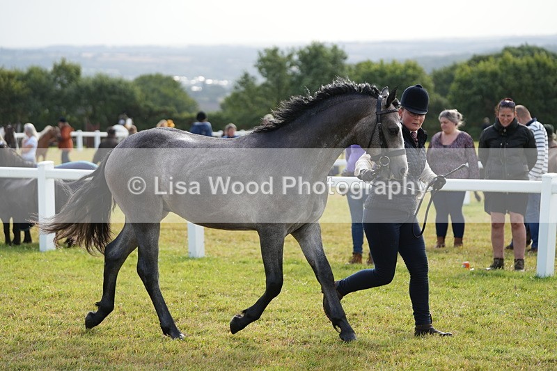 DSC04787 - Class 47: NPS M&M Yearling