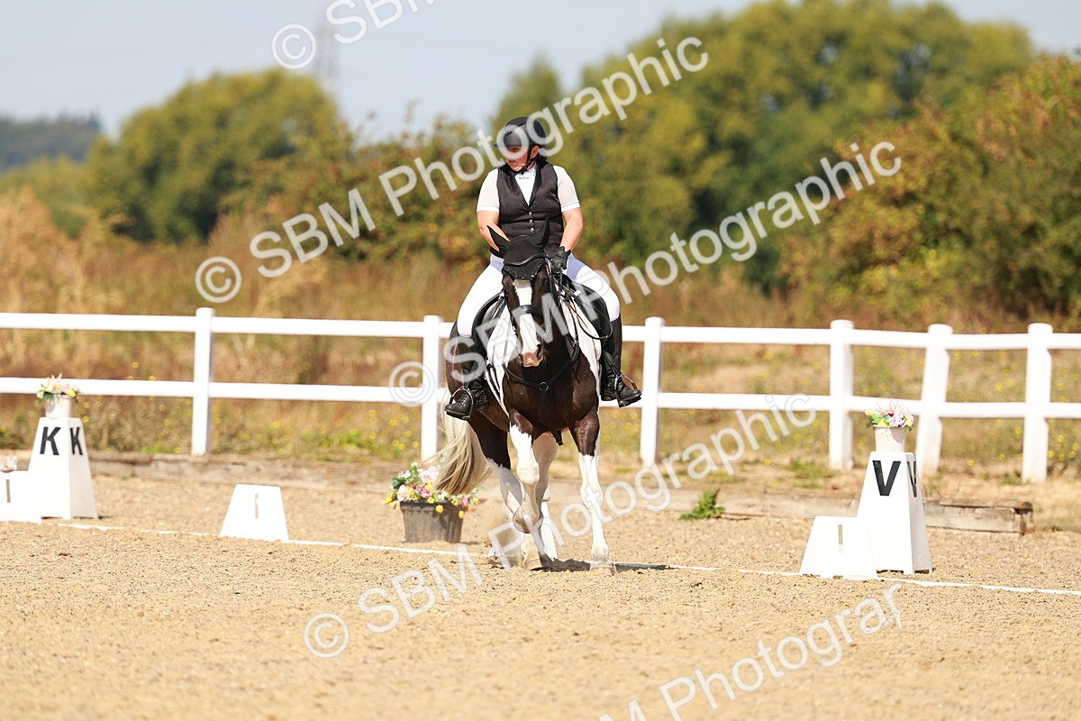 SBM_018268 - Class 9 - N5 Bronze 11.57.13.07