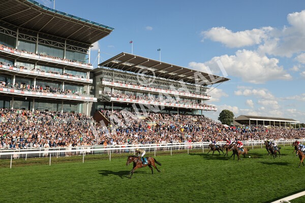 yr20082022r7-24 - Race 7 5.20pm Sky Bet Finale Stakes