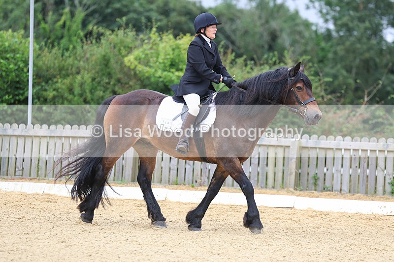 3E7A4709 - Class 1: Intro 4 2024 section A