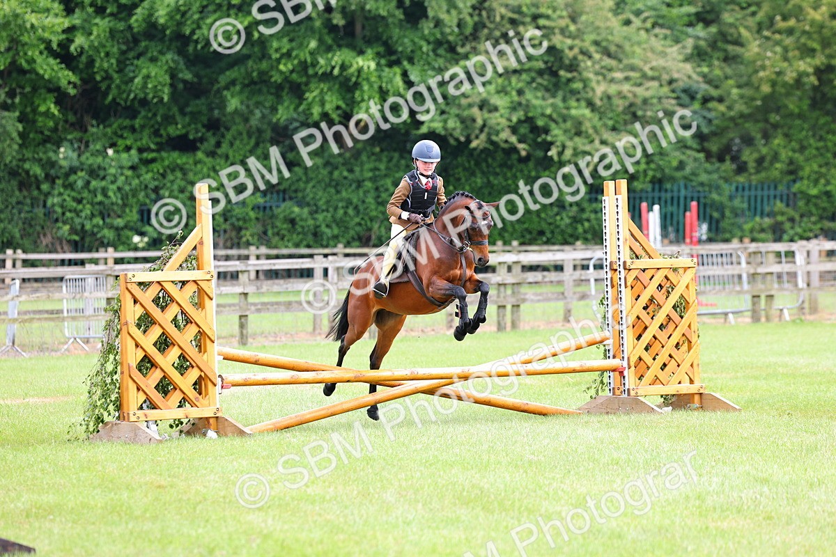 SBM_09429 - Class 44-45 - LIHS BSPS Open Nursery and Cradle Stakes
