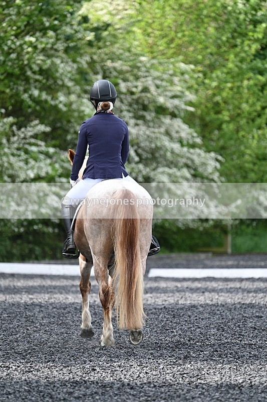 WJ7_8116 - Time 10:11 to 10:27