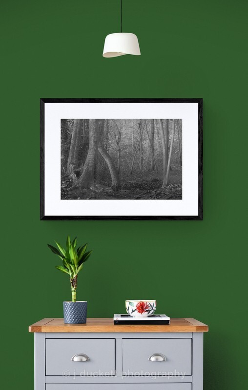  - Deep Dark Woods
