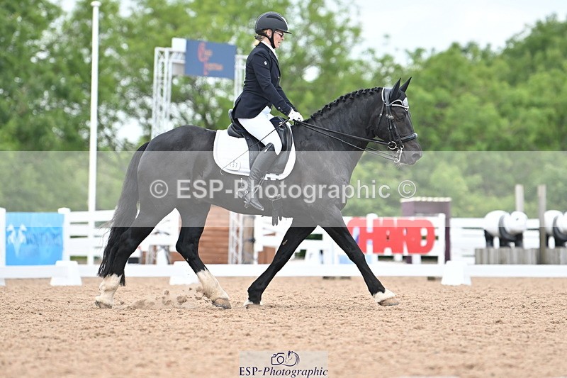 240621A-115200-02005 - Cls 7 BD Elementary 45