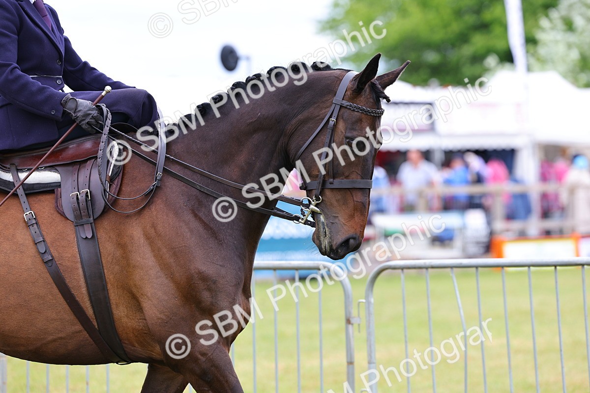 SBM_02802 - Class 9-11 Side Saddle including LIHS Rising Star Ladies Show Horse