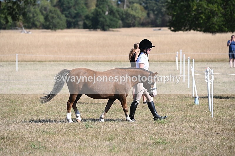 WJ6_7409 - Class 34 Judges Choice