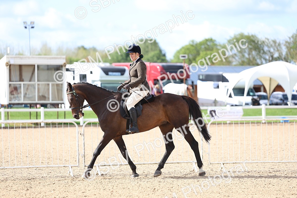 SBM_10769 - Class 305 - Ridden Foreign Breeds - Pure Bred