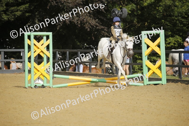 20250622-1252 - 40cm