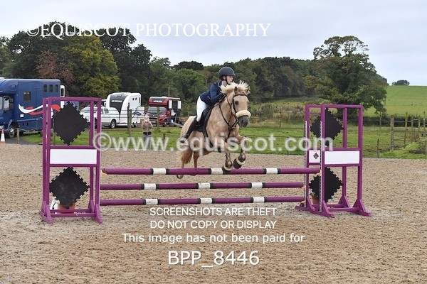 BPP_8446 - CLASS 3 Pony BritiNovice / 0.80m Open