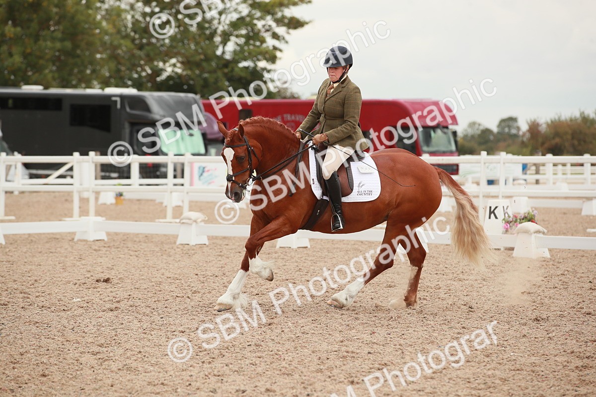 SBM_06095
