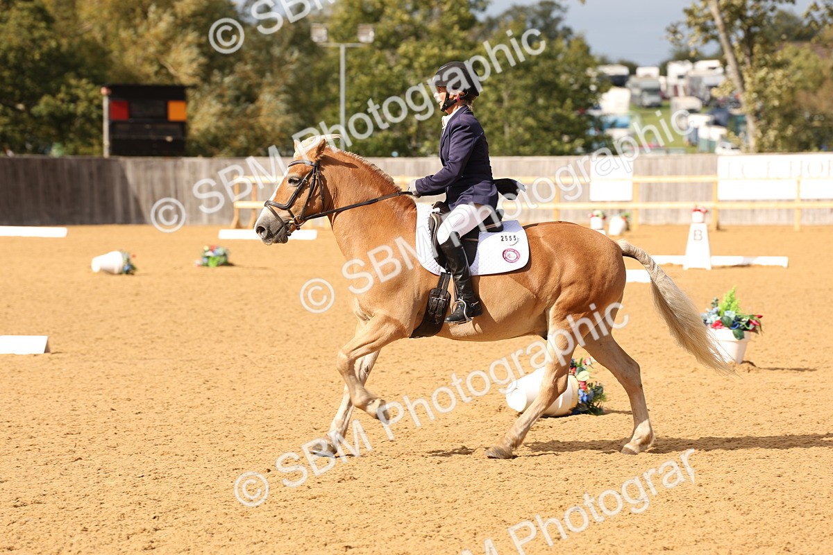 SBM_24628 - D17 - Grand Tour Championship Novice 3