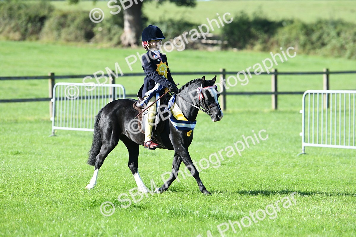 SBM_35616 - Top Turnout Supreme Championship