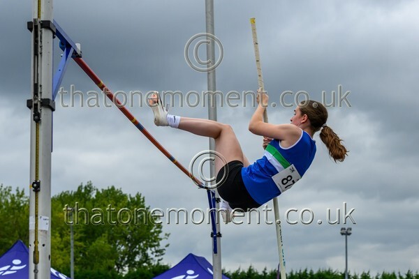 Sen25SUN-917110 - Field Female Set Two