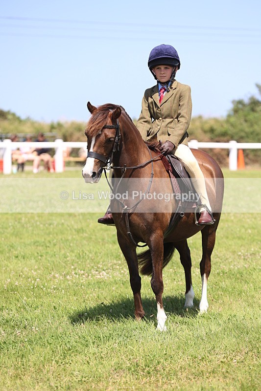 JPP_2281 - Class 20: Tiny Tots Working Hunter Pony