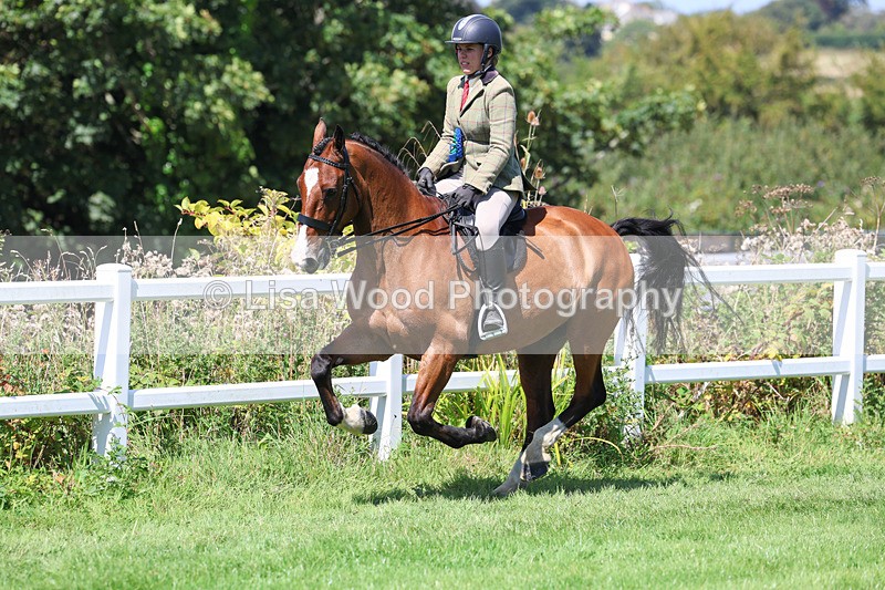 3E7A9230 - Working Hunter Championship