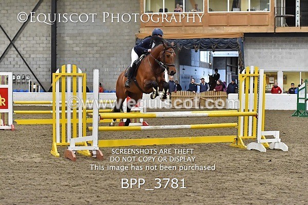 BPP_3781 - FRI CLASS 21 BR NOVICE/90CM