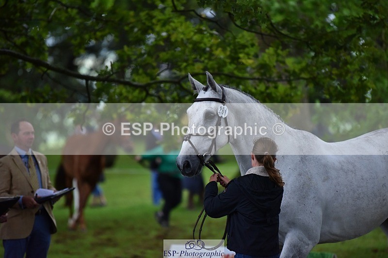 240522-164550-01134 - 281-UNSTOPPABLE_VAN_'T_CRAEYNEST_Z-Valentine_Emsens