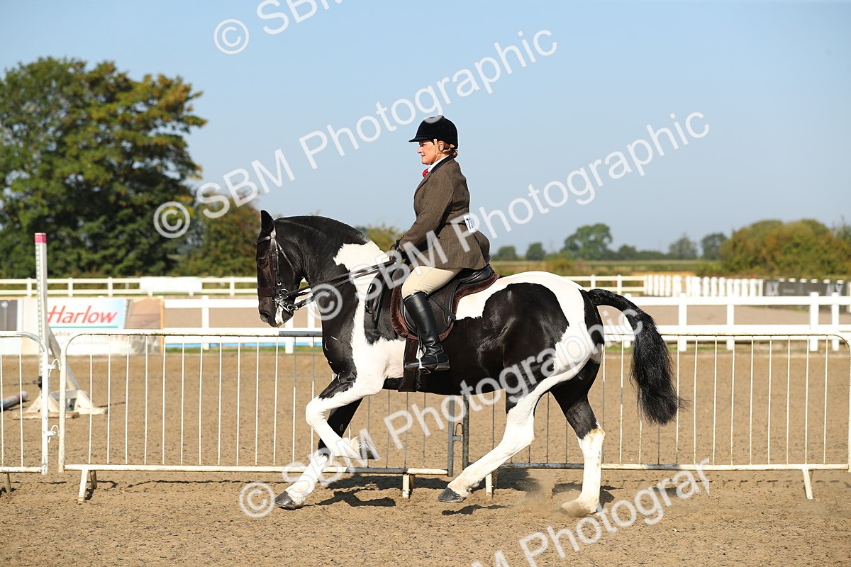 SBM_01187 - Class 42 Ridden Veteran