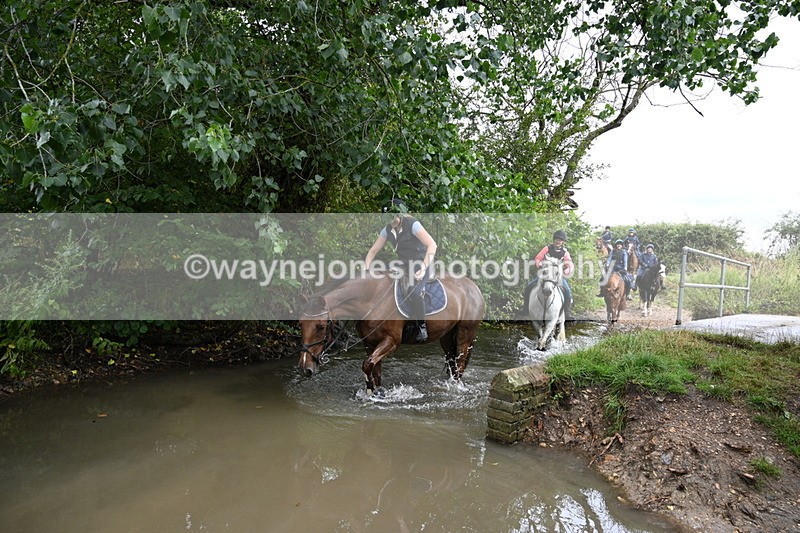WJ7_9314 - Group 6?
