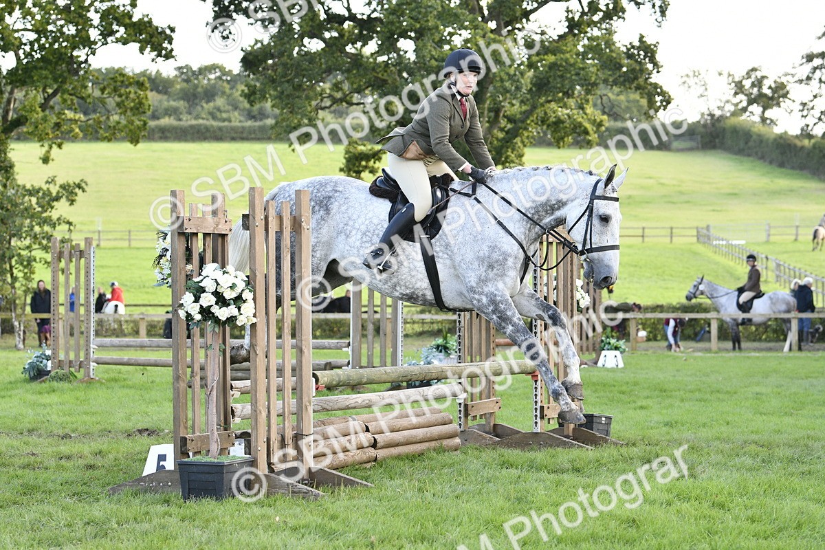 SBM_52165 - S35 - Working Hunter & Working Show Horse