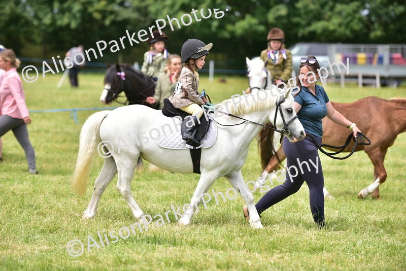 20260614-3674 - Class 15 - Prettiest Mare