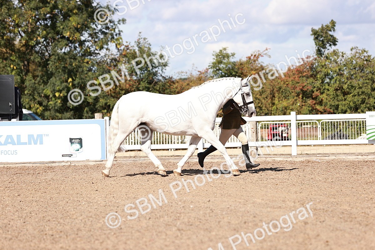 SBM_13284 - class 406 - IH Hunter