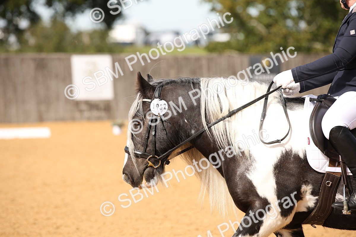 SBM_21767 - D5 - Small Tour Championship - Intro C