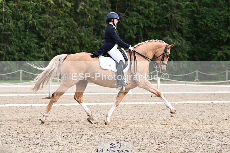 231110-152934-02211 - Cls 11 FEI PSG