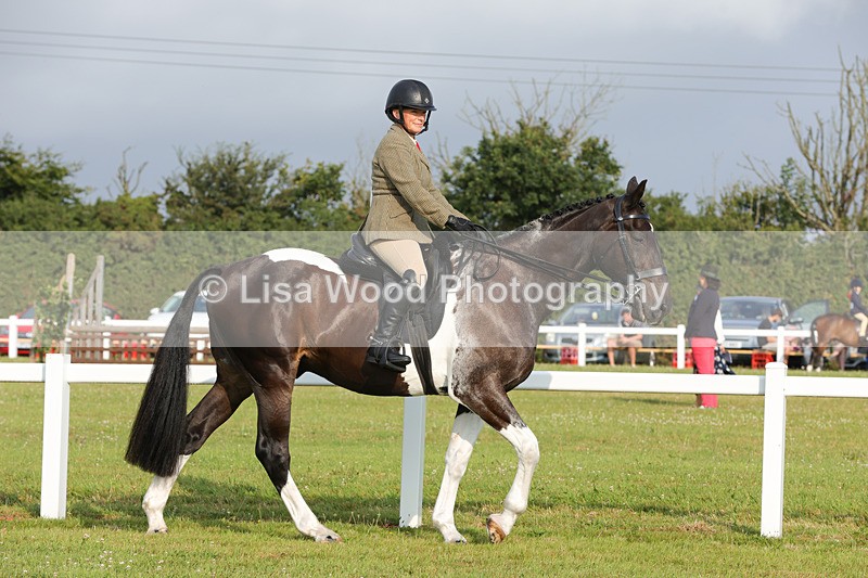 1X9A2822 - Class 25: Ridden Plaited Coloured Horse