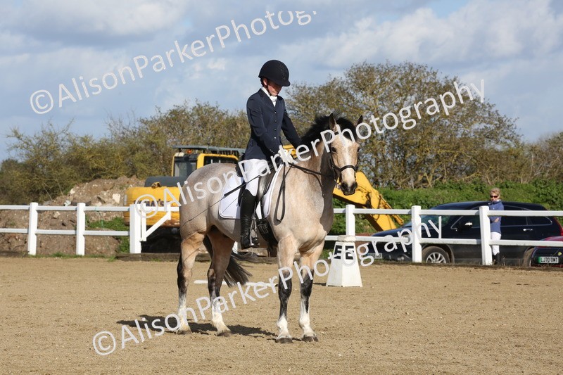 20260314-5208 - DR6 - Novice 2