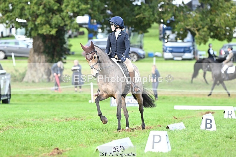 231020-161512-11645 - 558-BATHLEYHILLS.GOLDEN.SPRAY-Cleo.Whitbread-DR