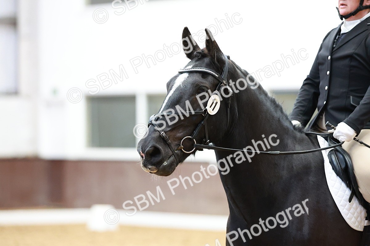 SBM_006730 - Class 3 - Prelim 2