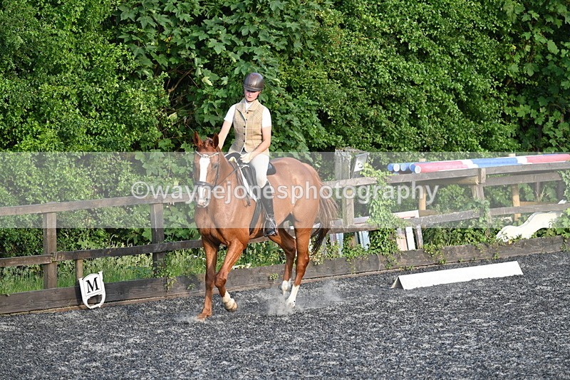 WJ7_0272 - Time 19:38 to 20:00