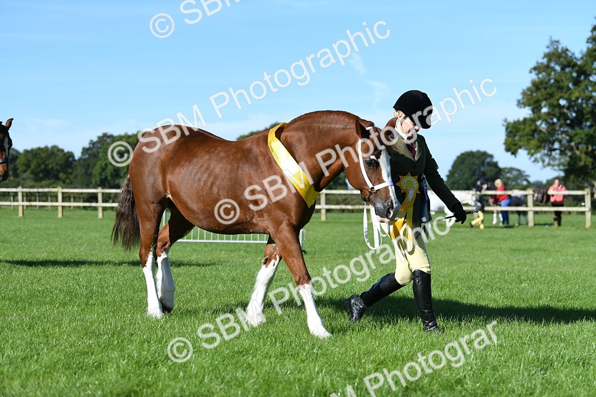 SBM_35630 - Top Turnout Supreme Championship