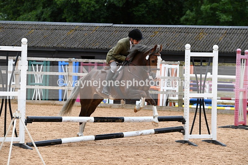 WJ5_6295 - Club 50cm