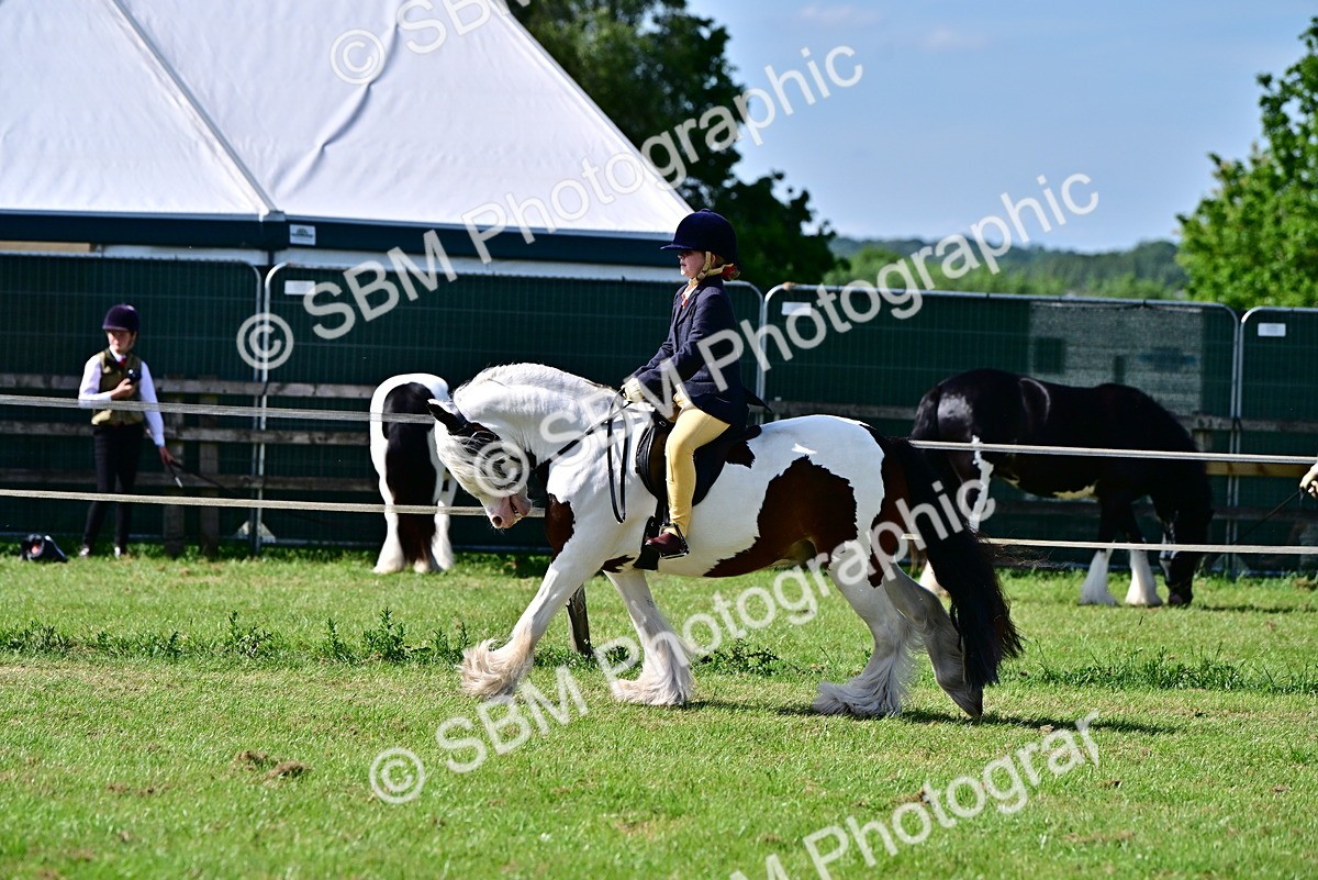 SBM_09332 - Class 63-65 - Traditional Gypsy Cobs In Hand & Ridden