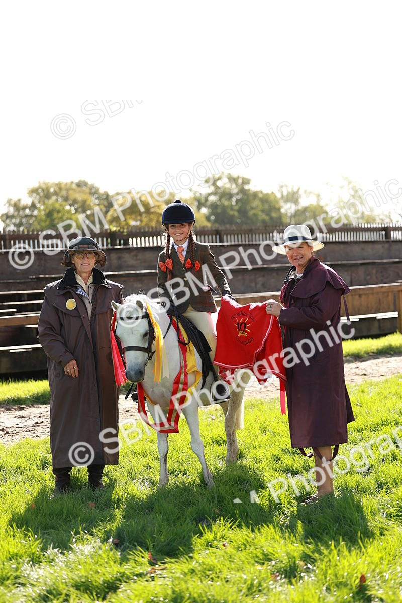 SBM_42176 - S32 - Mountain & Moorland Working Hunter Pony