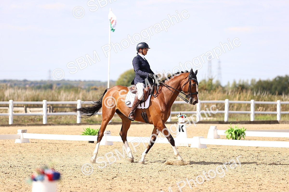 SBM_015199 - Class 8 - Medium 5