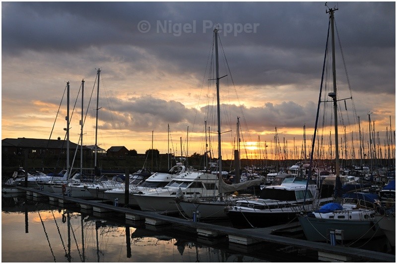 Marina (9) - Titchmarsh Marina