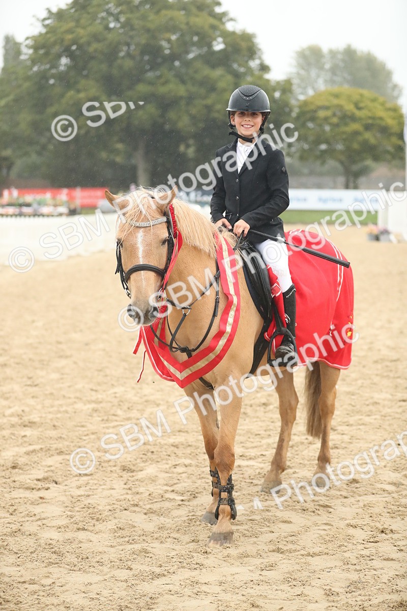 SBM_74293 - Supreme championship Junior Pony 70cm 75cm