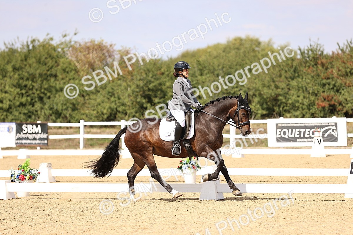 SBM_015022 - Class 6 - Elementary 5