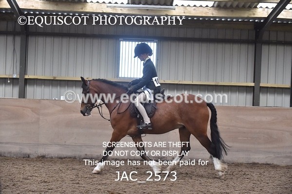 JAC_2573 - CLASS 3 Intermediate Working Hunter