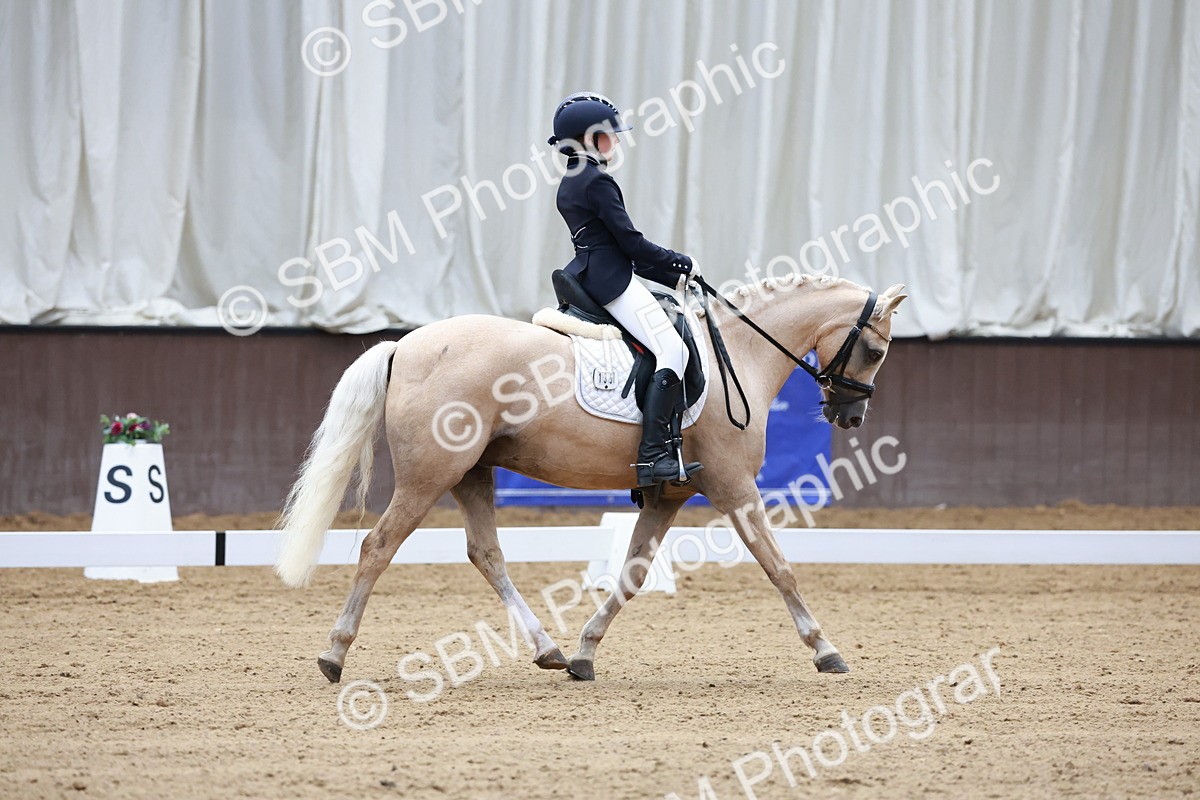 SBM_017381 - Class15 - FEI Pony