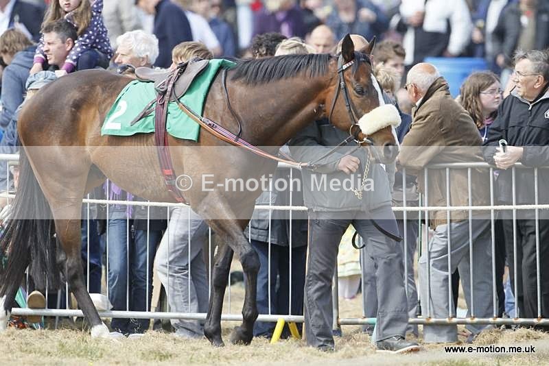  GRD 030510 102 - Guernsey Race Day 03/05/10