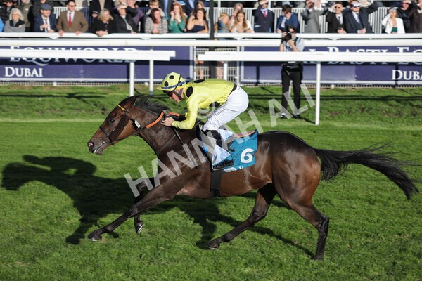 yr08102022r6-34 - Race 6 4.25pm The Watch Racing Online Free With Coral Handicap Stakes