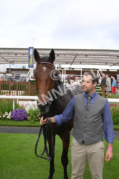 yr24092021r5-43 - Race 5 3.50pm William Hill Leading On Course Bookmaker Stakes