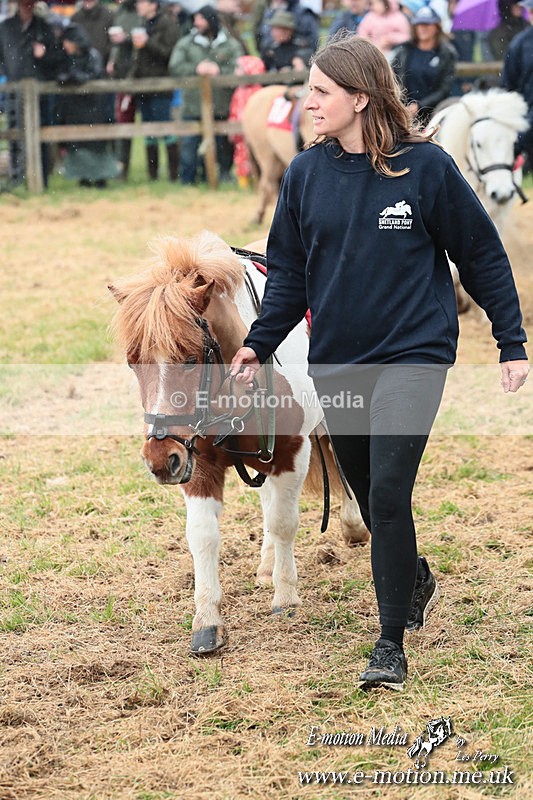 SHETPR 210425 36 - Shetland Ponies Paxford Races 21/04/25