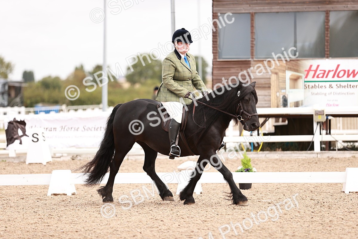 SBM_02453 - Class 35 - Intro 3