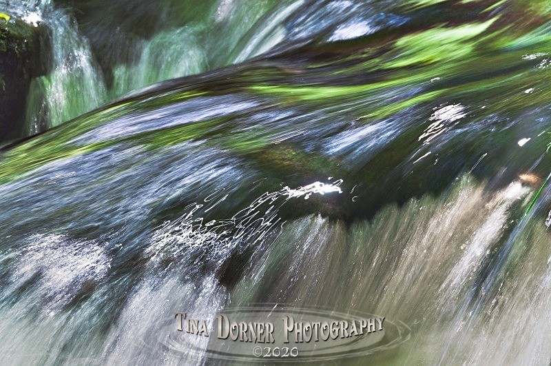 by Tina Dorner Photography, Forest of Dean and Wye Valley, Gloucestershire